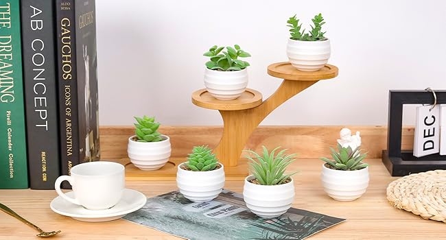 Set of 6 Succulents Plants Artificial in Pots Small Fake Plants for Bedroom Aesthetic set of 6 succulents plants artificial in pots small fake plants for bedroom aesthetic
