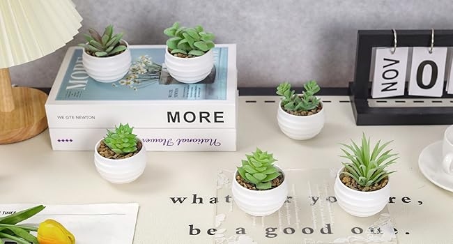 Set of 6 Succulents Plants Artificial in Pots Small Fake Plants for Bedroom Aesthetic set of 6 succulents plants artificial in pots small fake plants for bedroom aesthetic